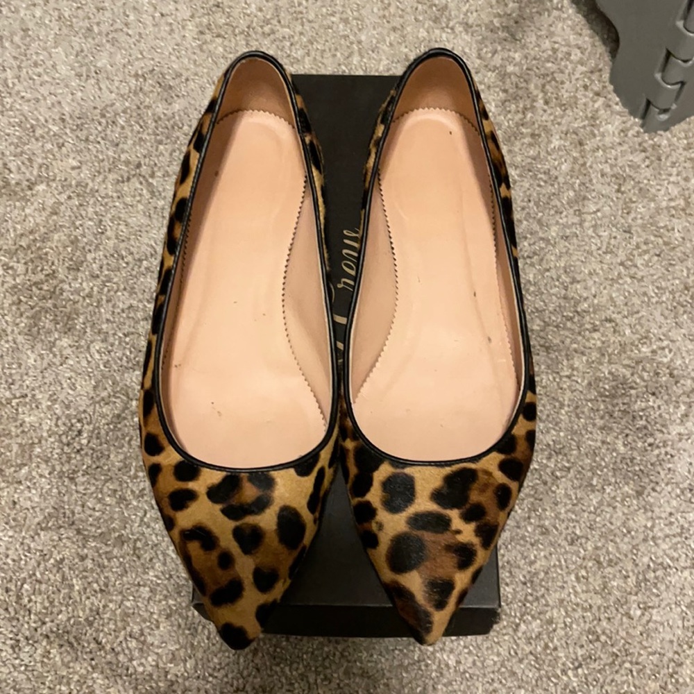 JCrew leopard hair calf pointy toe Flat